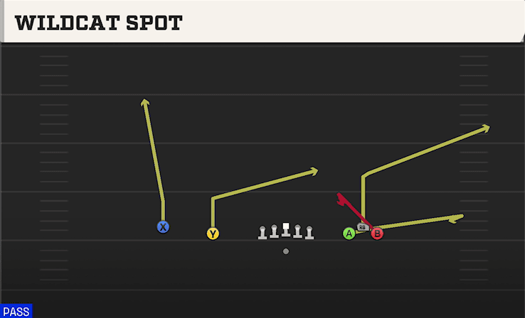 Wildcat Spot play art from Shotgun 5WR in CFB 27