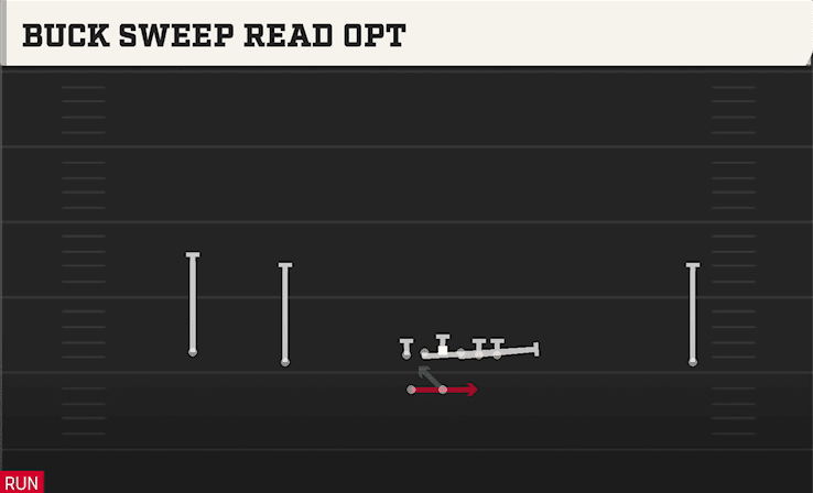 Buck Sweep Read Opt play art from Shotgun Wide Doubles HB WK in CFB 27
