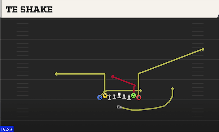 TE Shake play art from Singleback Ace Double Wing in CFB 27