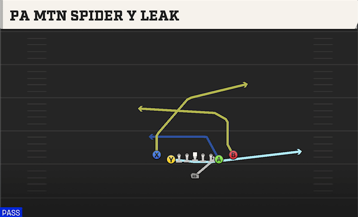 PA Mtn Spider Y Leak play art from Singleback Deuce Close in CFB 27