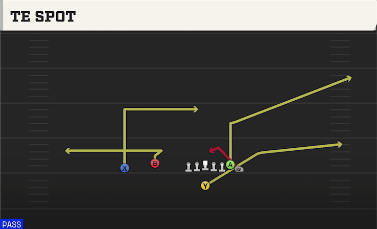 TE Spot play art from Singleback Wing Flex in CFB 27