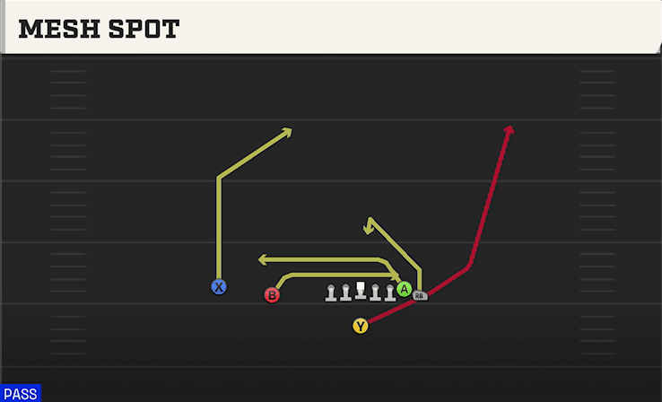 Mesh Spot play art from Singleback Wing Slot in CFB 27