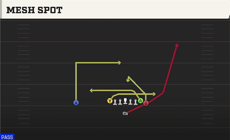 Mesh Spot play art from Singleback Wing Tight in CFB 27
