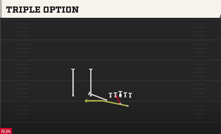 Triple Option play art from Wingbone Trips Over in CFB 27