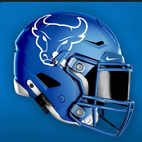 Buffalo helmet