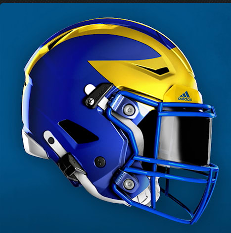 Delaware helmet