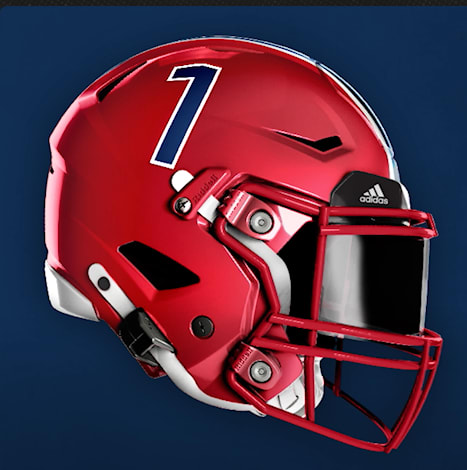 Florida Atlantic helmet