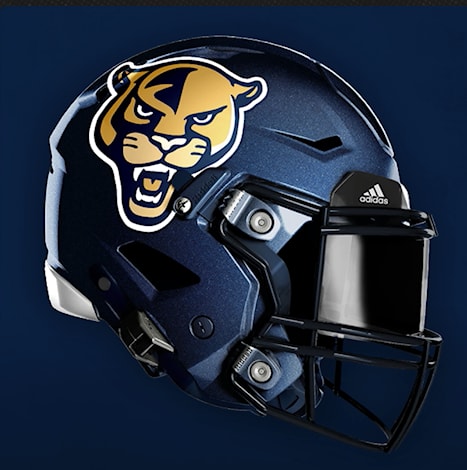 Florida International helmet