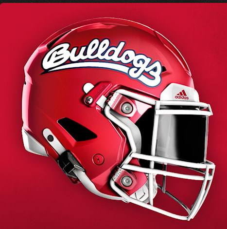 Fresno State helmet