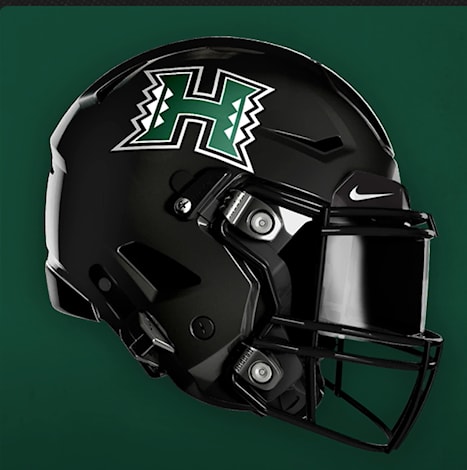 Hawaii helmet