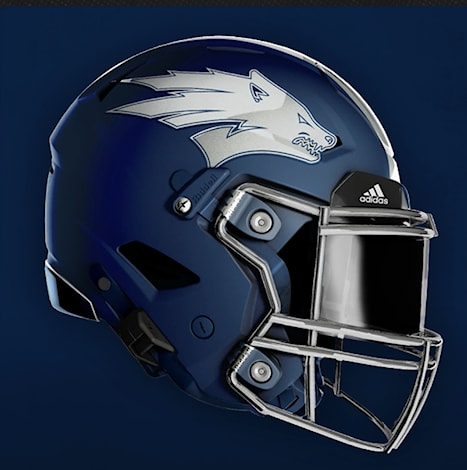 Nevada helmet