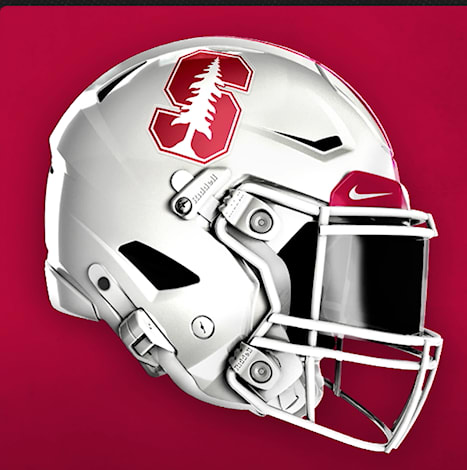 STANFORD helmet