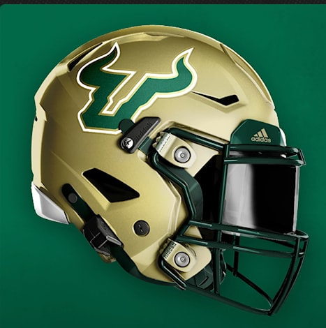 Usf helmet