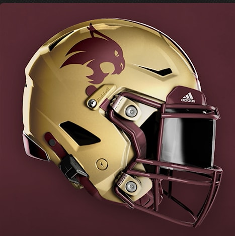 Texas State helmet