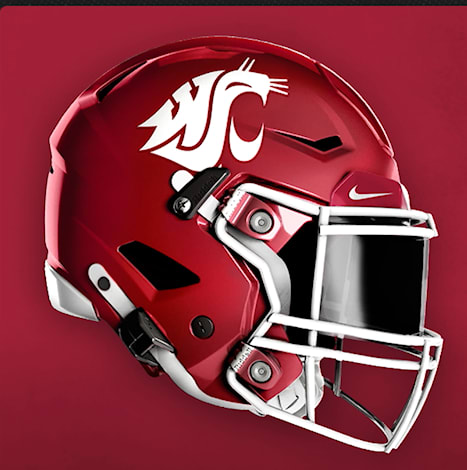 Washington State helmet