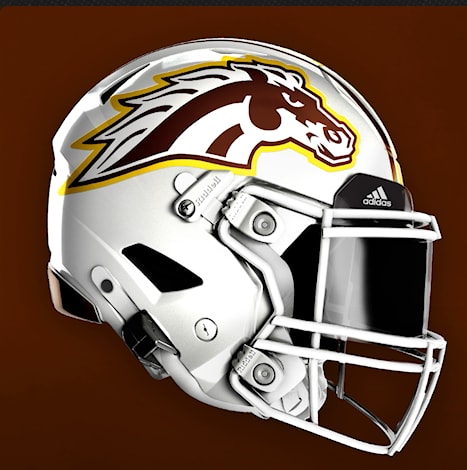 Western Michigan helmet