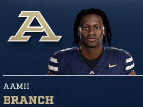 AAMII BRANCH