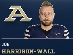 JOE HARRISON-WALL
