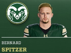 BERNARD SPITZER