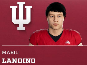 MARIO LANDINO