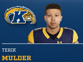 TERIK MULDER