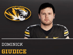 DOMINICK GIUDICE