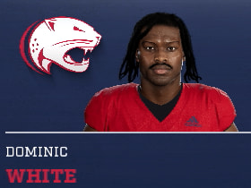 DOMINIC WHITE