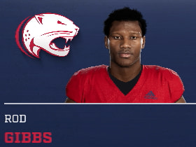 ROD GIBBS