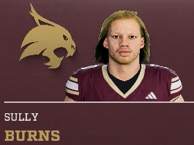 SULLY BURNS