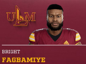 BRIGHT FAGBAMIYE