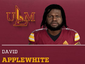 DAVID APPLEWHITE