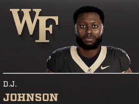 D.J. JOHNSON