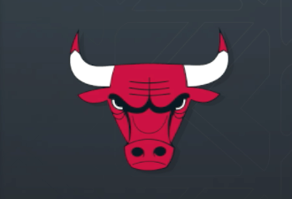 Chicago Bulls logo