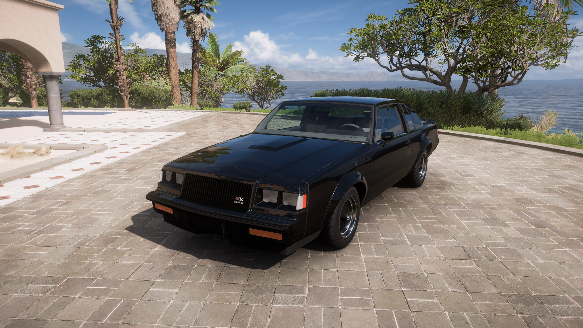 1987 Buick Regal Gnx – view 1