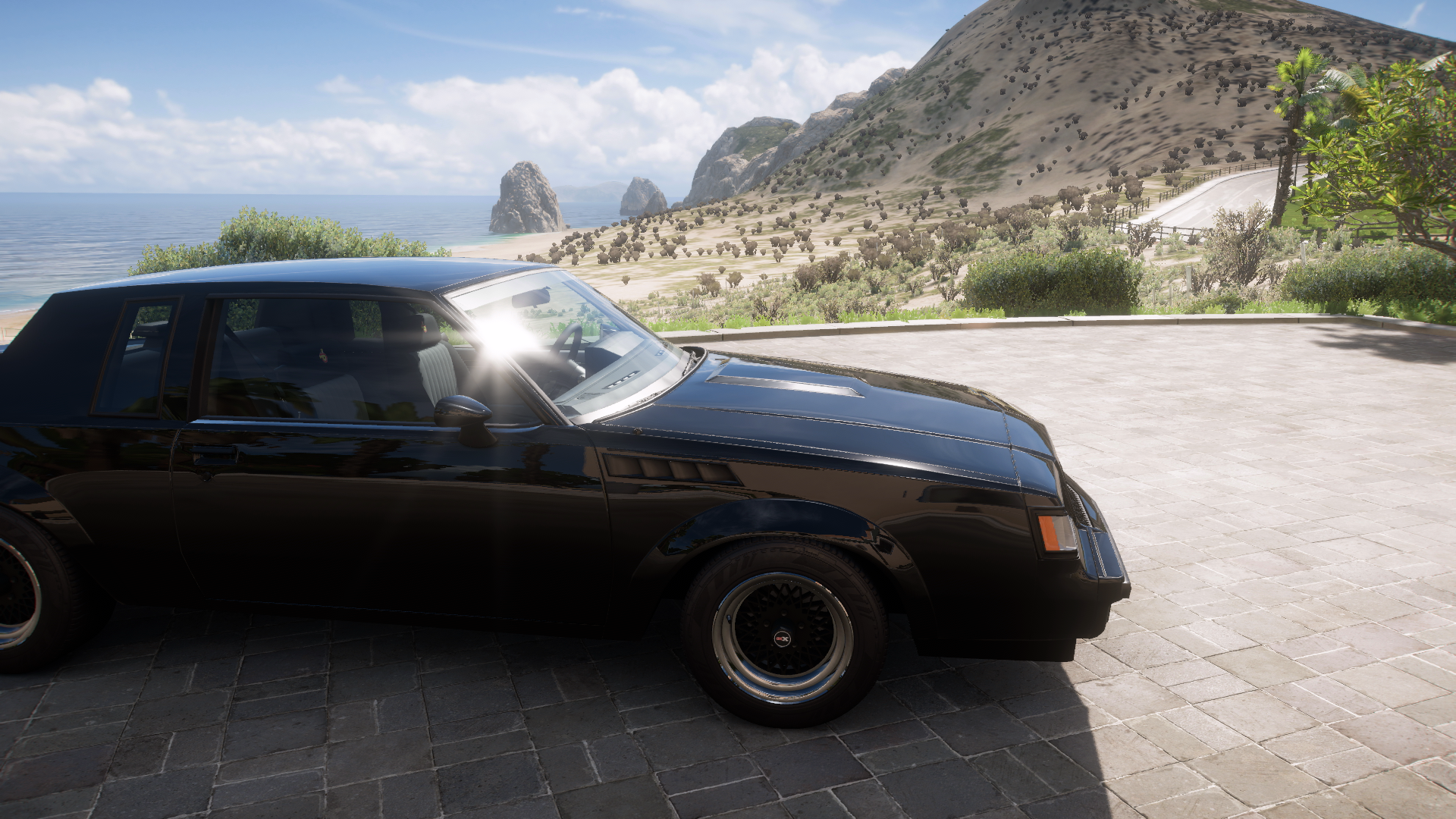 1987 Buick Regal Gnx – view 5