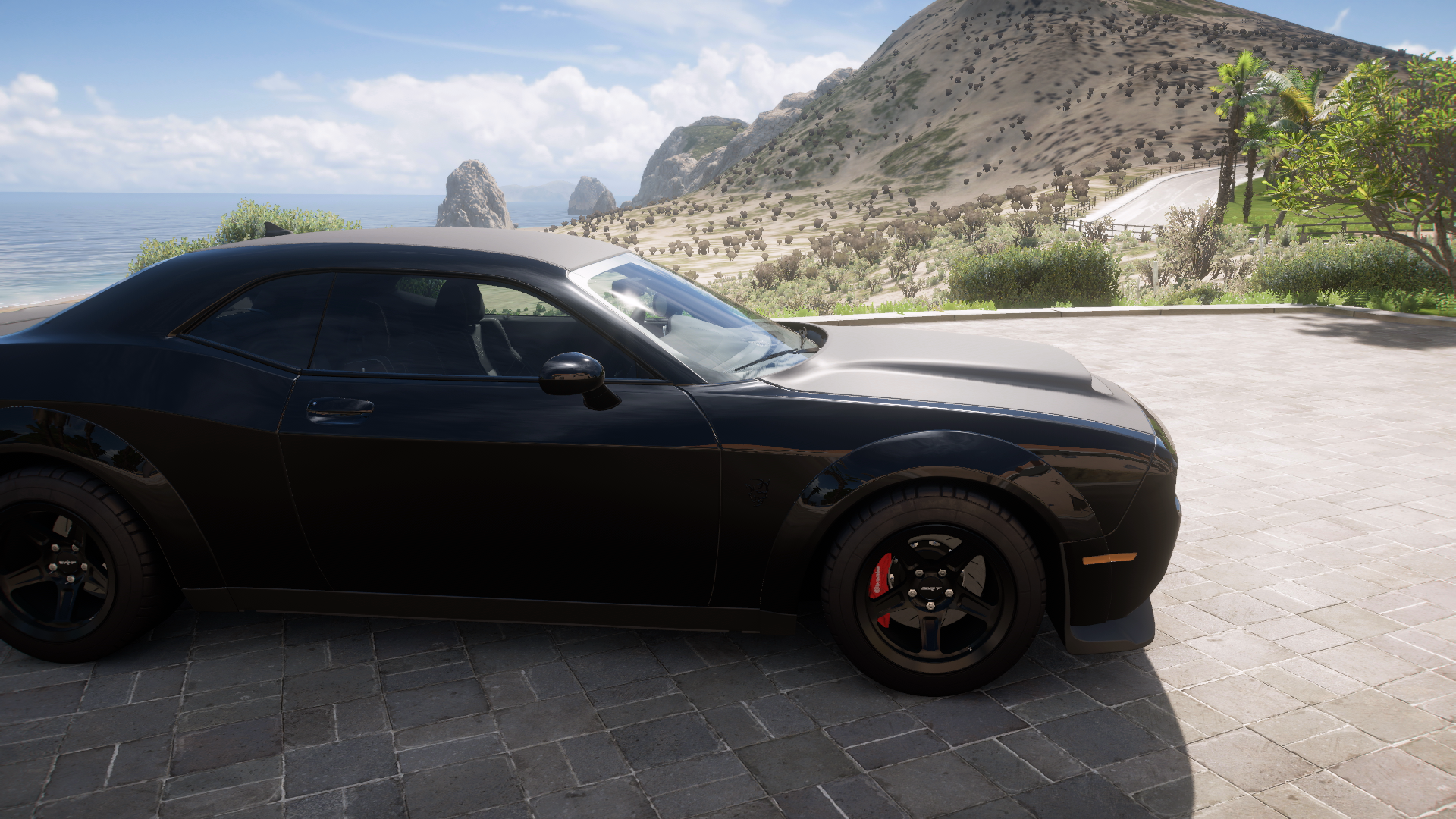 2018 Dodge Challenger Srt Demon – view 5