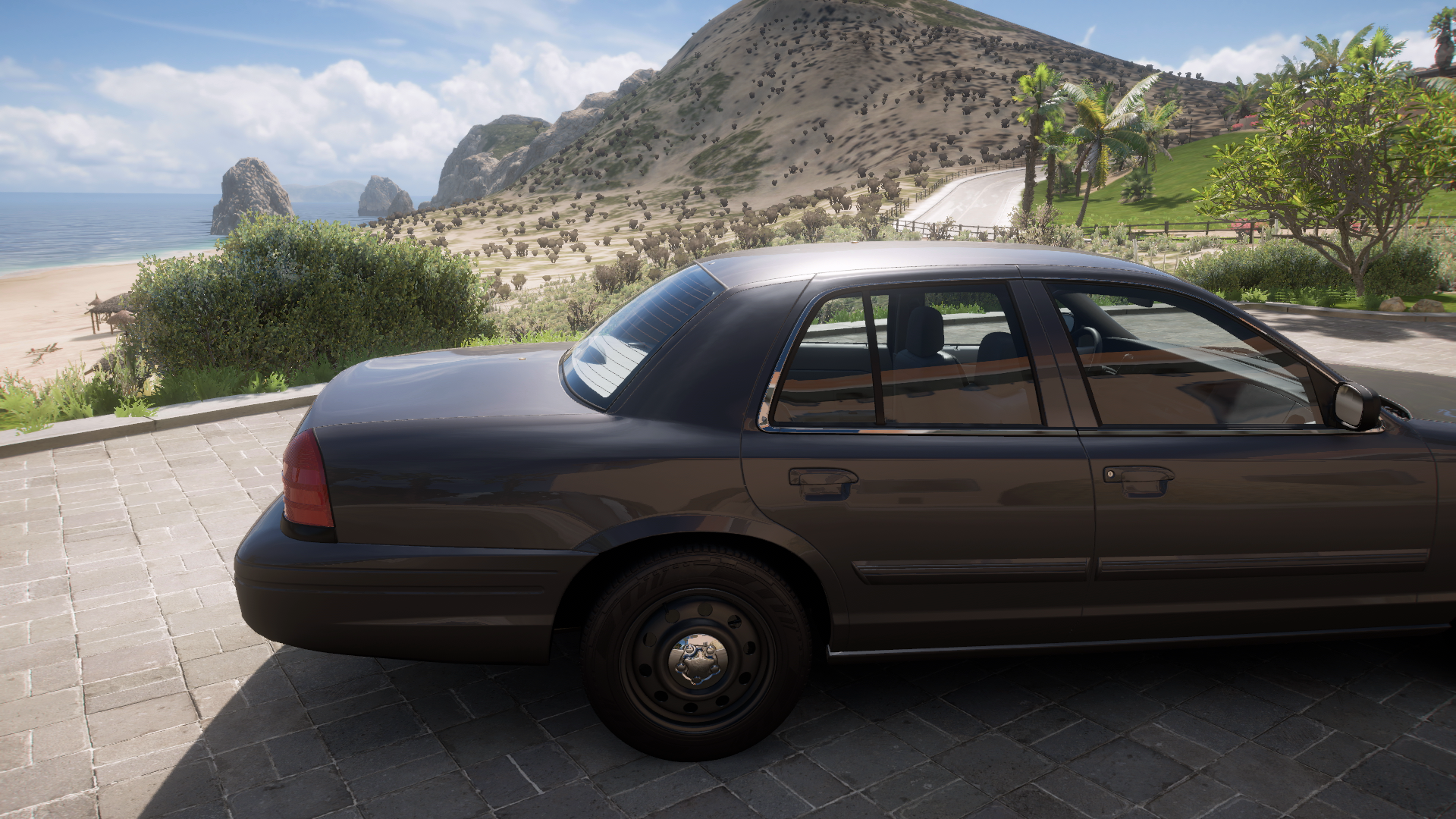 2010 Ford Crown Victoria Police Interceptor – view 4