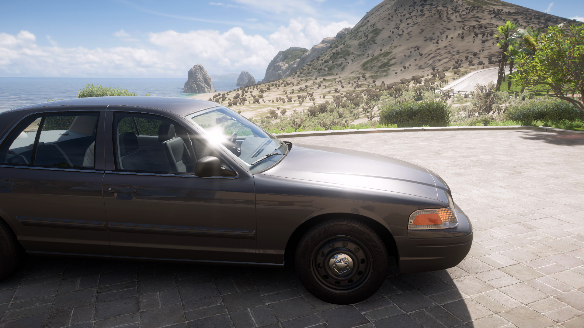 2010 Ford Crown Victoria Police Interceptor – view 5