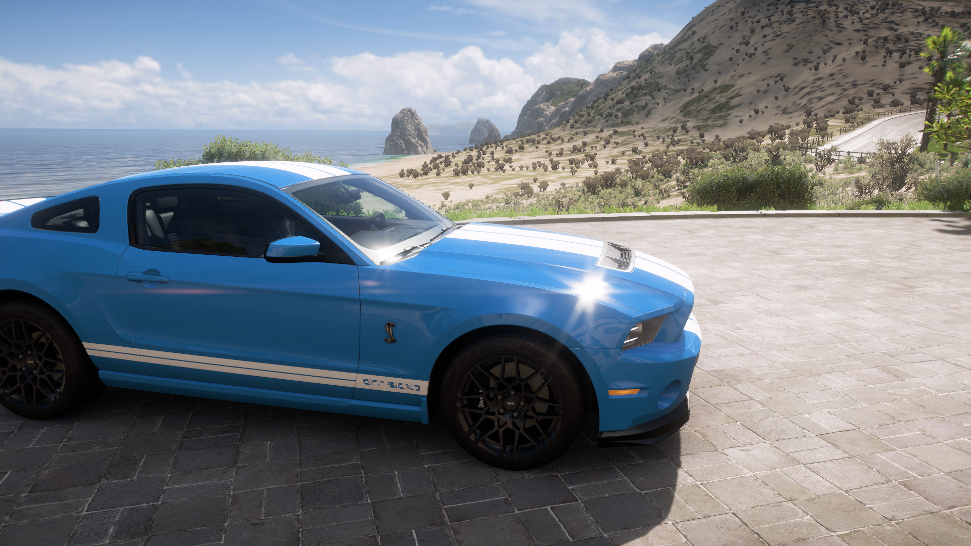 2013 Ford Shelby Gt500 – view 5