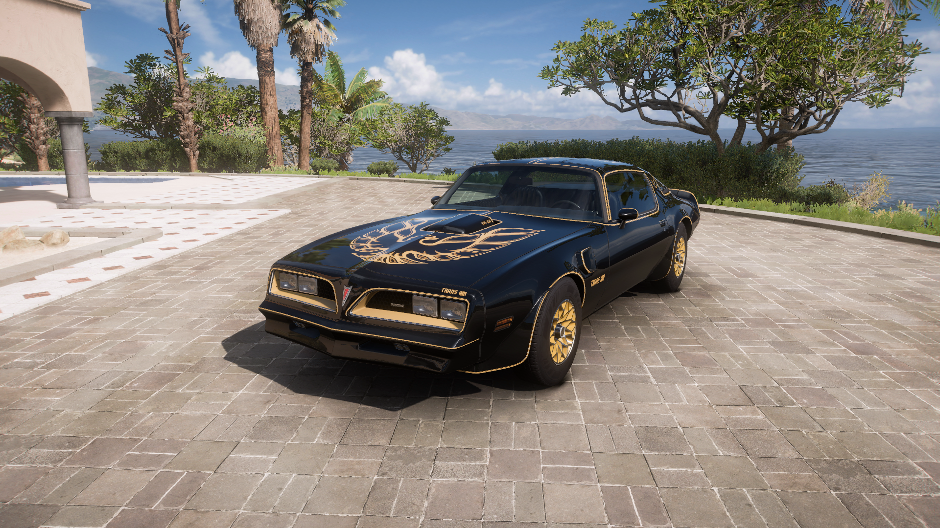 1977 Pontiac Firebird Trans Am – view 1