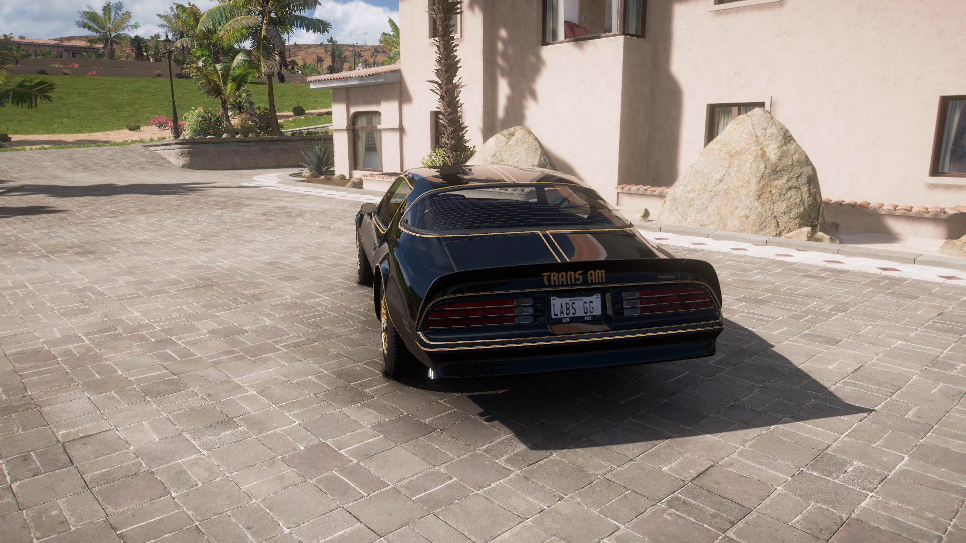 1977 Pontiac Firebird Trans Am – view 3