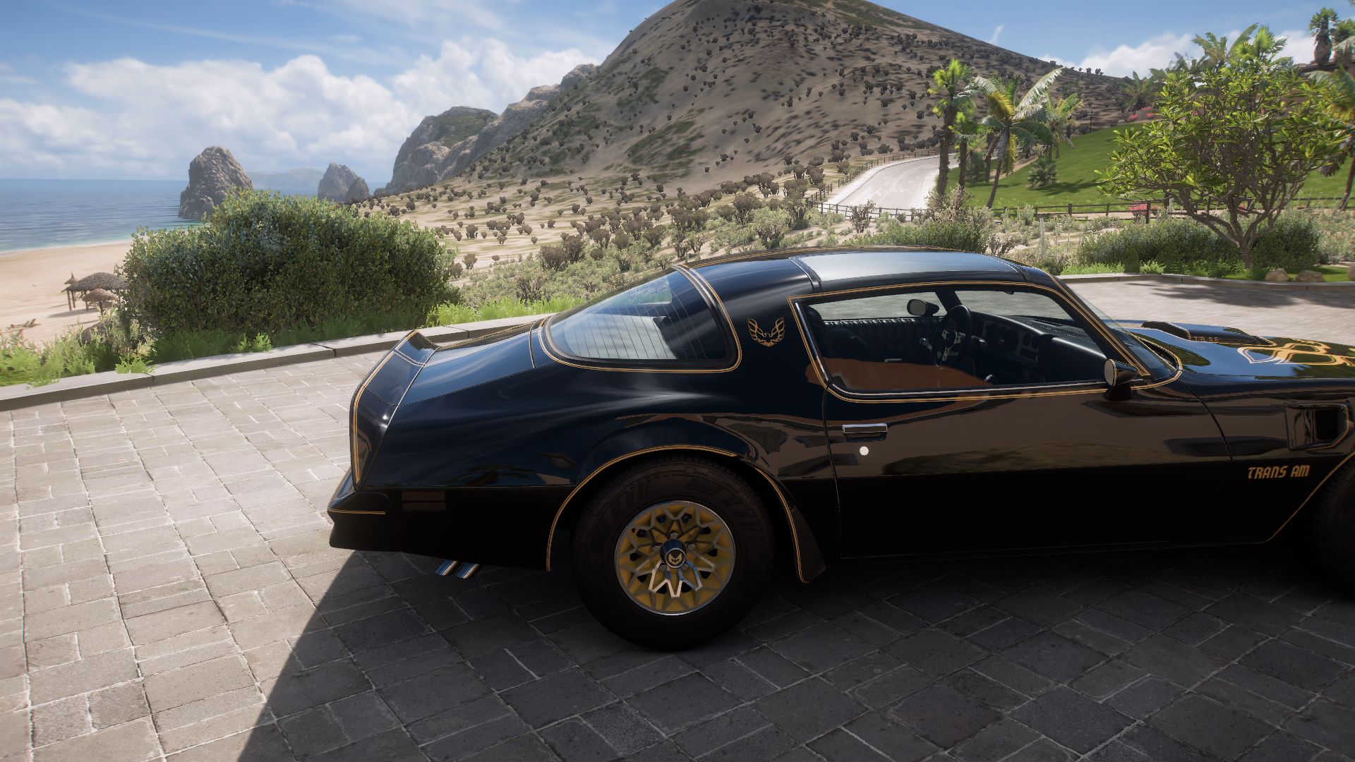 1977 Pontiac Firebird Trans Am – view 4