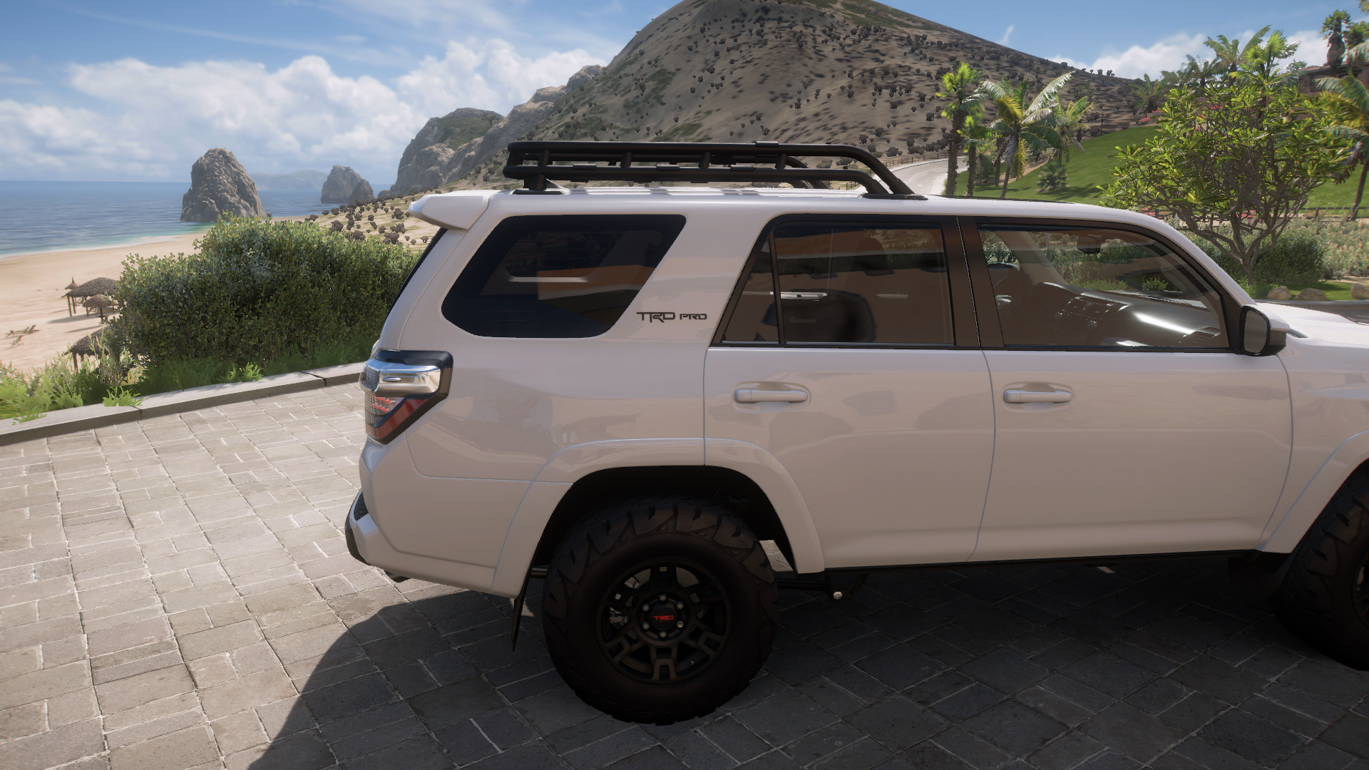 2019 Toyota 4runner Trd Pro – view 4