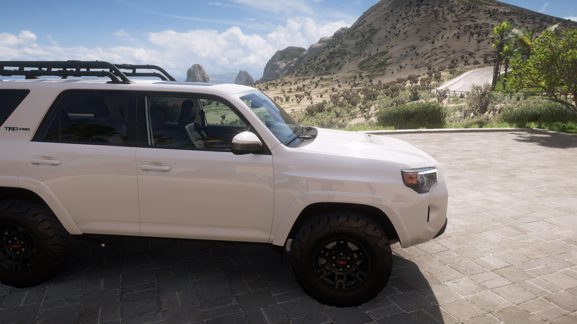 2019 Toyota 4runner Trd Pro – view 5