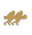 Bronze tier badge