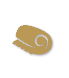 Bronze tier badge