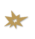 Bronze tier badge