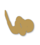 Bronze tier badge