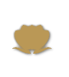 Bronze tier badge