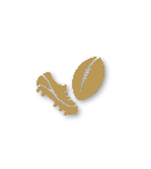 Bronze tier badge